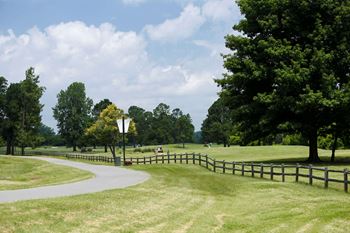 Walking trails